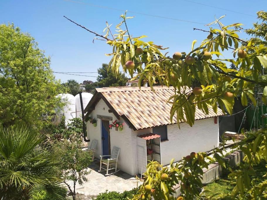 Vivienda Rural La Choza Villa Jerez de la Frontera Exterior photo