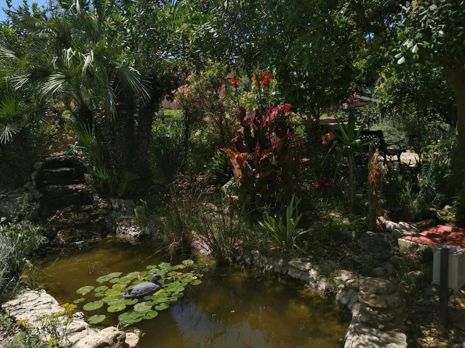 Vivienda Rural La Choza Villa Jerez de la Frontera Exterior photo