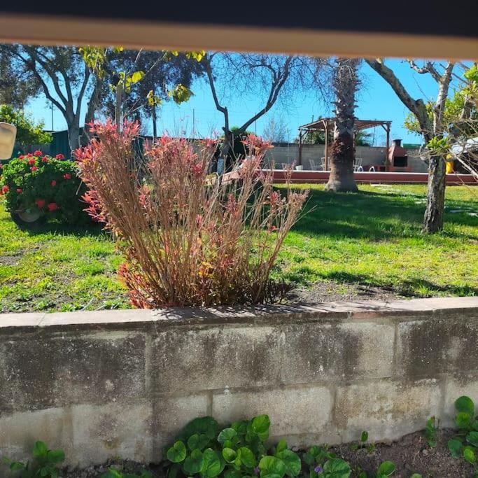 Vivienda Rural La Choza Villa Jerez de la Frontera Exterior photo
